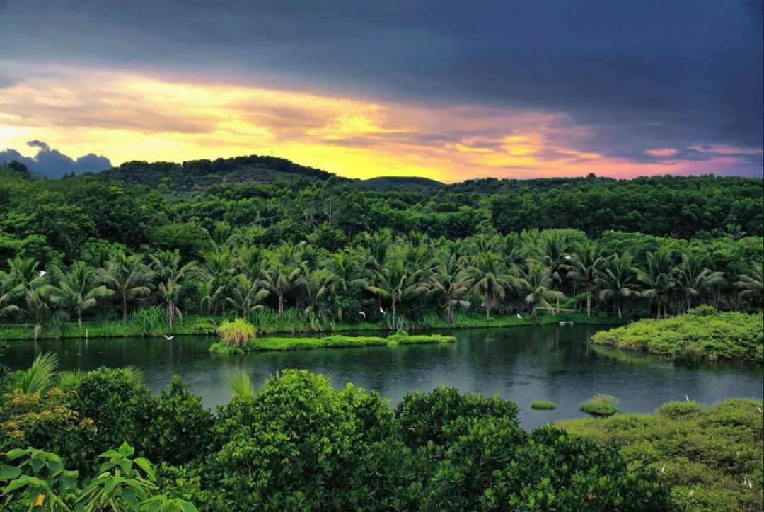 2019海南琼中国际青少年足球邀请赛志愿者招募函