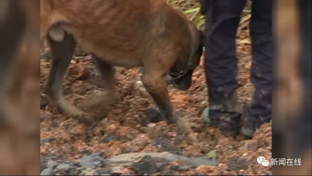 柳州自闭症男孩走失最新消息,自闭症孩子走失6个月完整视频