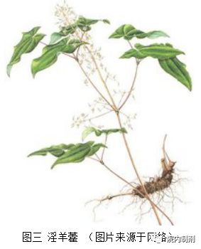 院内制剂｜多卵巢综合症，女性怀孕的拦路虎！这款院内制剂来帮您