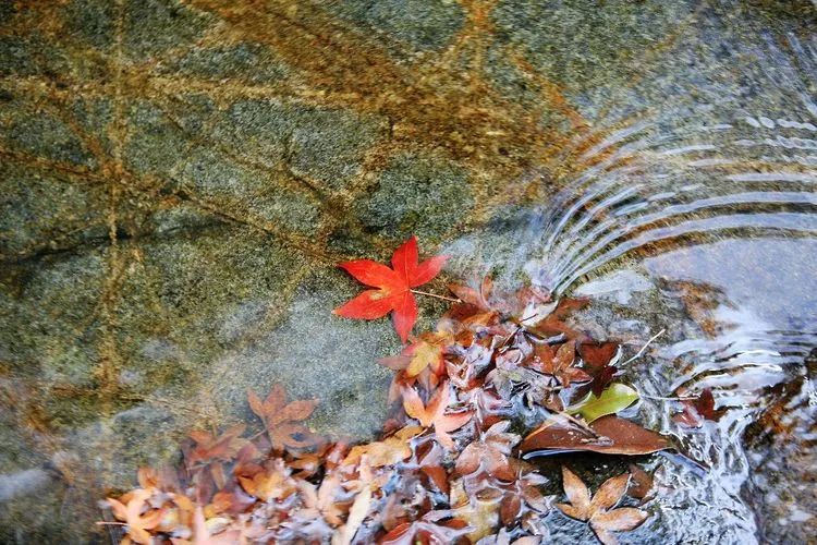 厦门云雾缭绕人间仙境山顶美景,厦门最美山上风景