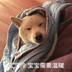 每日一笑你怎么知道的,每日一笑差距