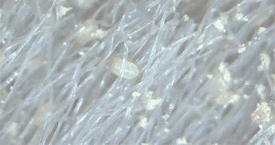 冬季超强吸水浴巾,超快吸水浴巾