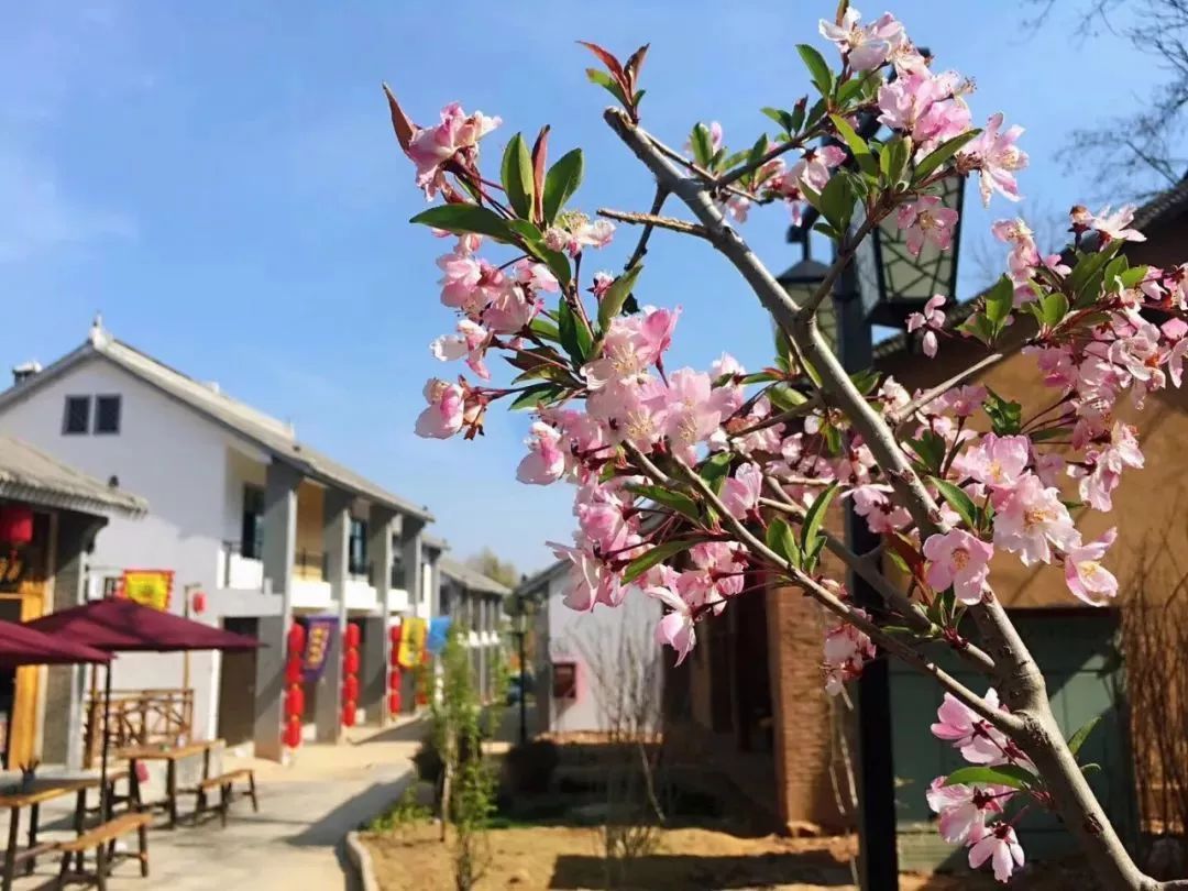 陕西宝鸡各县区有哪些景区,陕西省8个5a景区有哪些