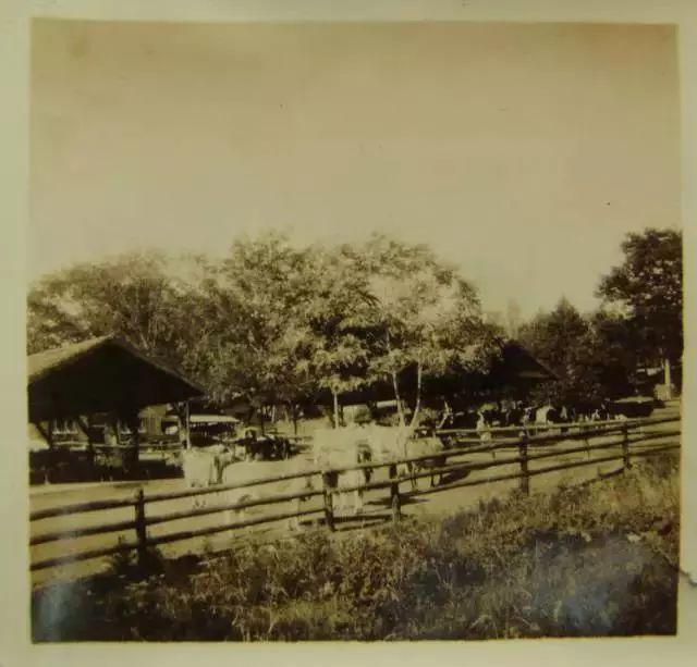 感恩相伴九十年，卫岗乳业有奖征集老物件照片