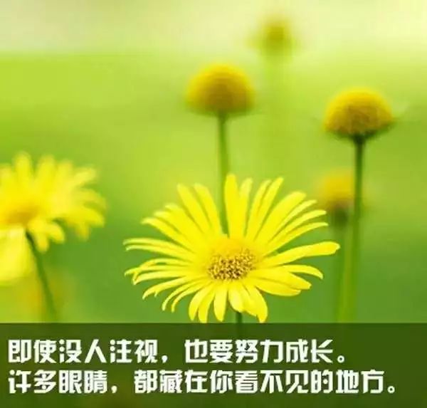 家有儿女细思极恐的剧,家有儿女细思极恐故事