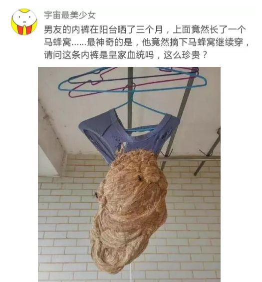 一星期不换衣服正常吗,一星期不换内裤危害