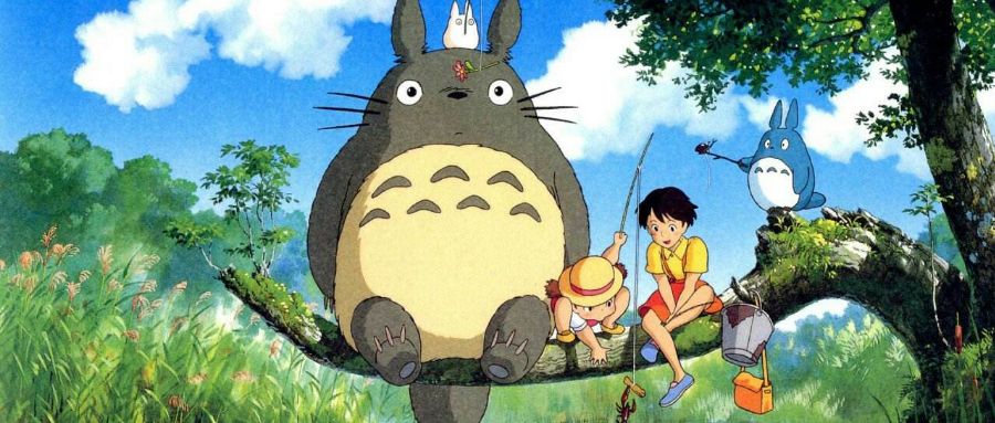 龙猫30年视频,龙猫三十年后是什么样子