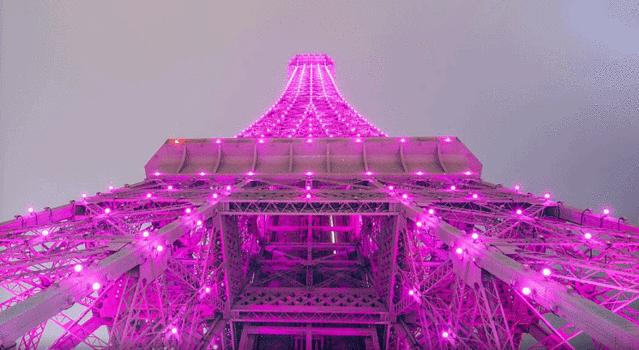 回归20年澳门的感受,回归祖国20年