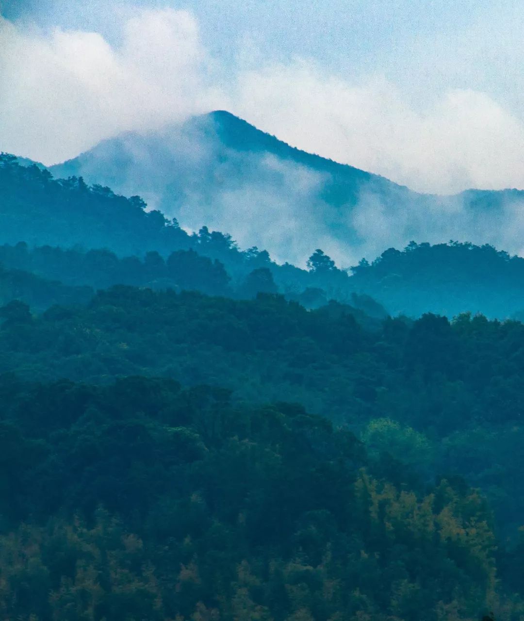 什么是广州市区,什么是桃子女孩