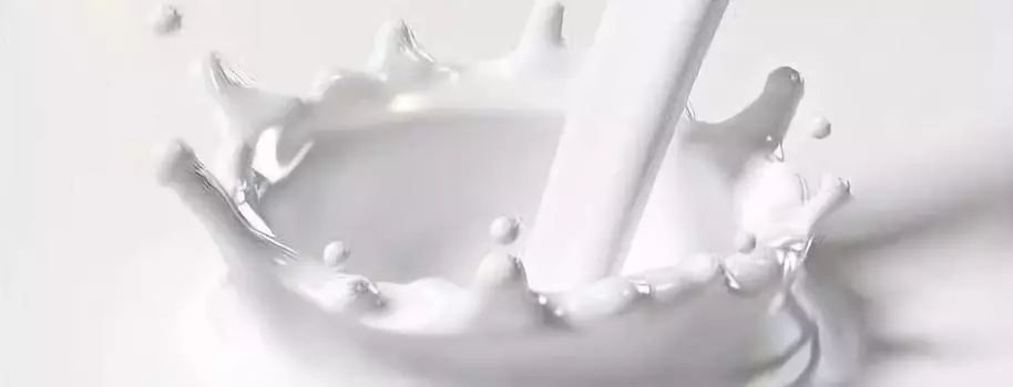 爱马仕上海国金中心店重装新启｜一周吃喝玩乐指南