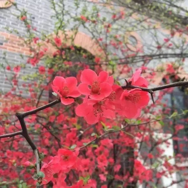 摄影学会了能拍什么,摄影到底应该拍什么