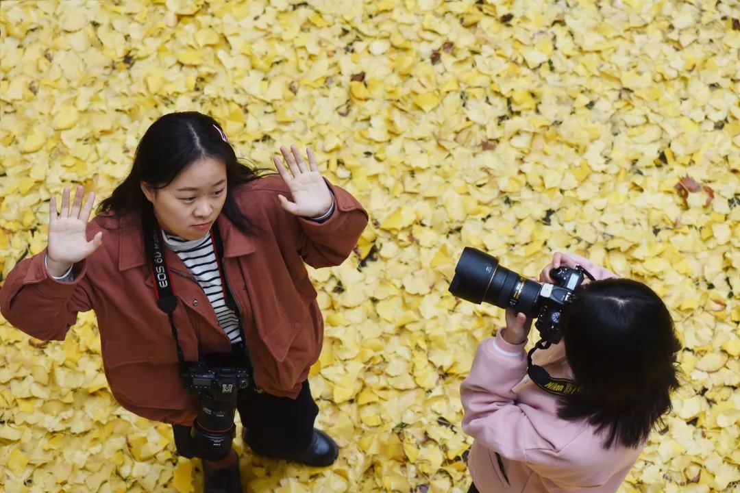 “妈，我在华师看了一场金黄色的雪！”