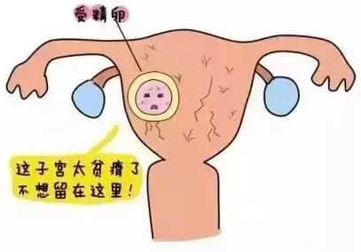 不孕夫妇如何获得一个健康的宝宝 (不孕不育怎么怀上宝宝)