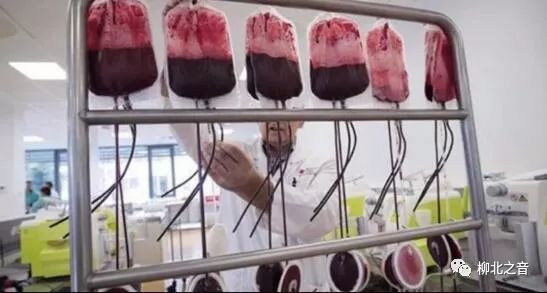 「微课堂」你可能不知道的这“十大”艾滋病传播途径