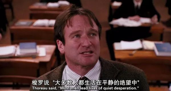 像条狗一样活着,像狗一样工作经典句子