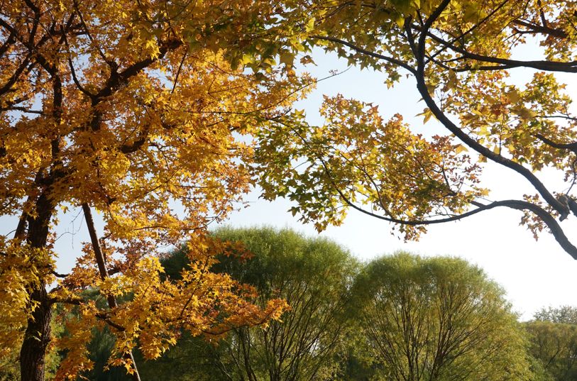 宝格丽酒店深度体验,世界最好的宝格丽酒店