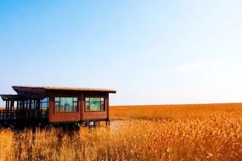 小众宝藏旅行地江浙沪冬天,冬日有阳光心情会很好