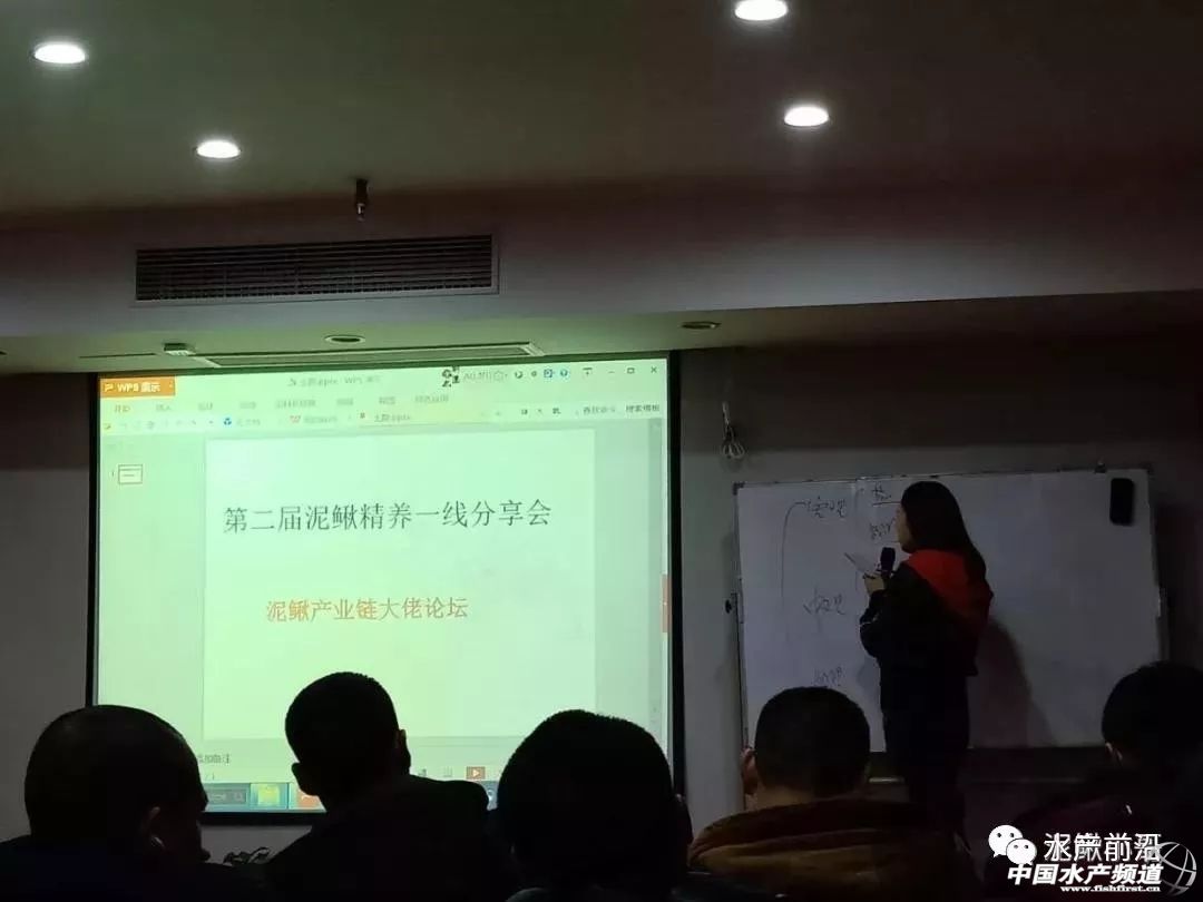 今天塘头50-60条泥鳅价格,泥鳅价格2022年塘头价