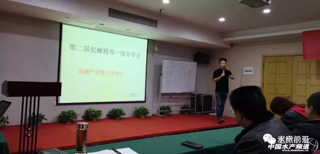 今天塘头50-60条泥鳅价格,泥鳅价格2022年塘头价