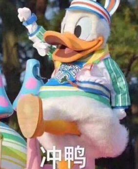 语文差错,2019十大语文错误