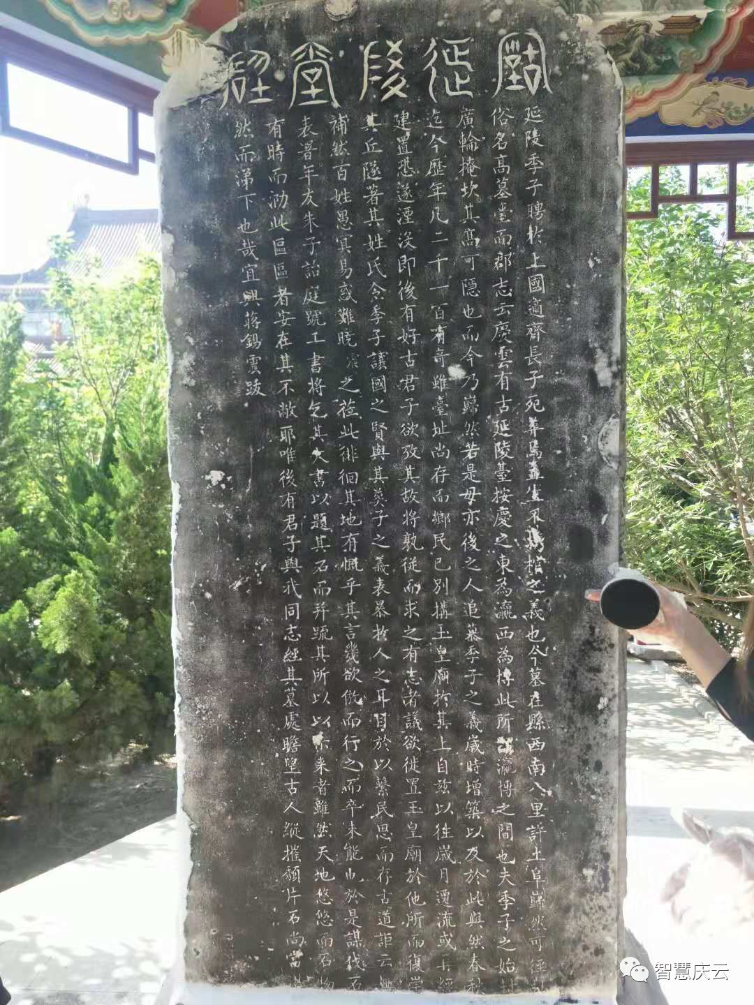 庆云徐园子包子总店,庆云徐园子包子怎么样