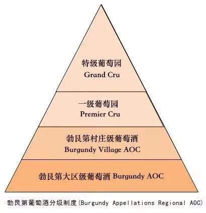 低价值得收藏的葡萄酒,法国葡萄酒199元6瓶