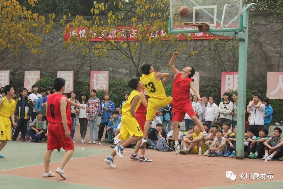 永川县特色学校,永川全部学校