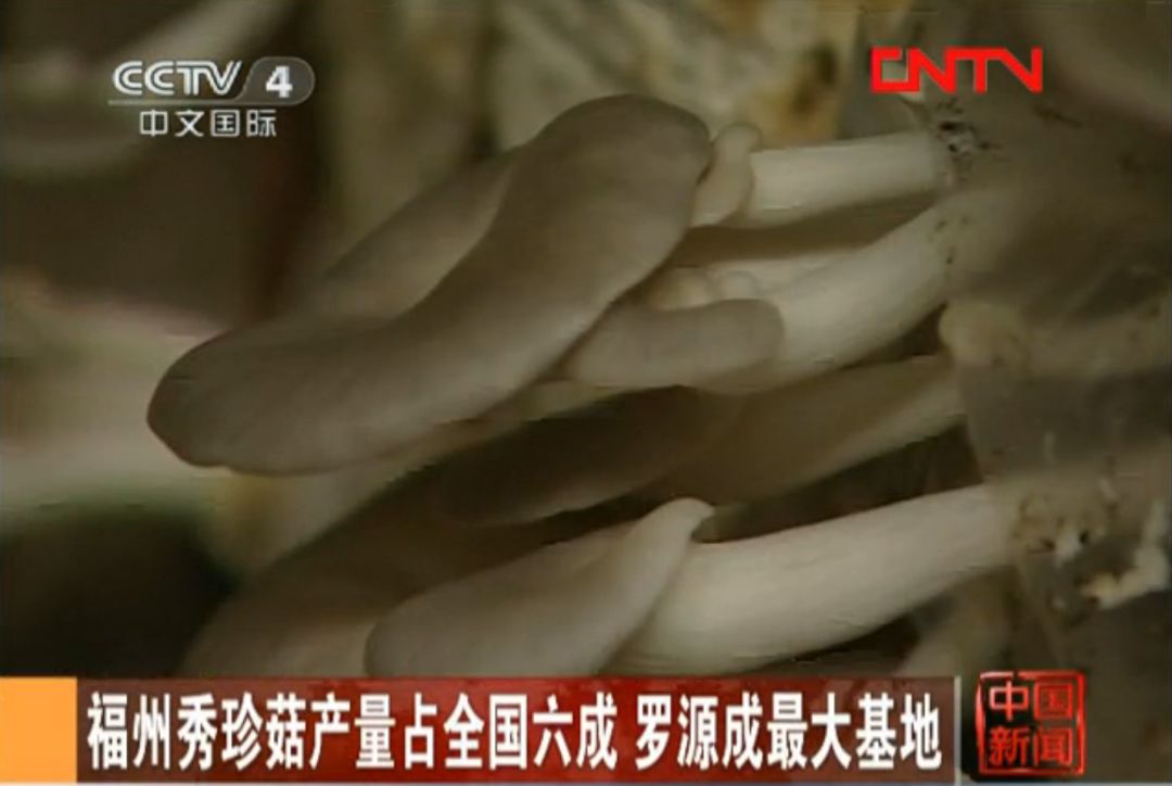 这里是宁德,这里是福建