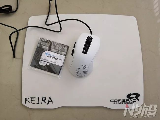 白冰豹子,黑冰和白冰视频