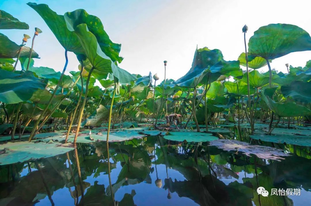 厦门金门攻略,厦门金门旅游攻略自助游