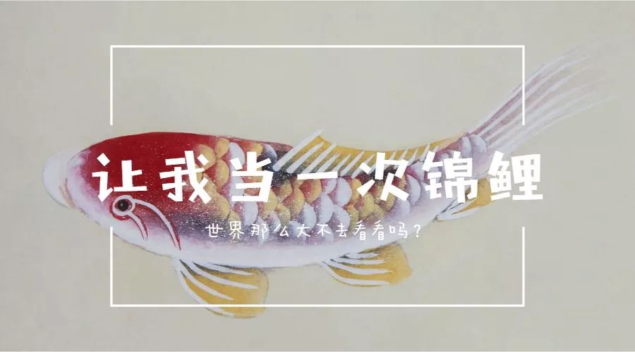 杭黄高铁免费表,杭黄高铁什么时候开始运行