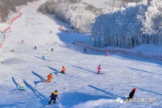 吉林高速交警最新通告,吉林省几点开始免高速费