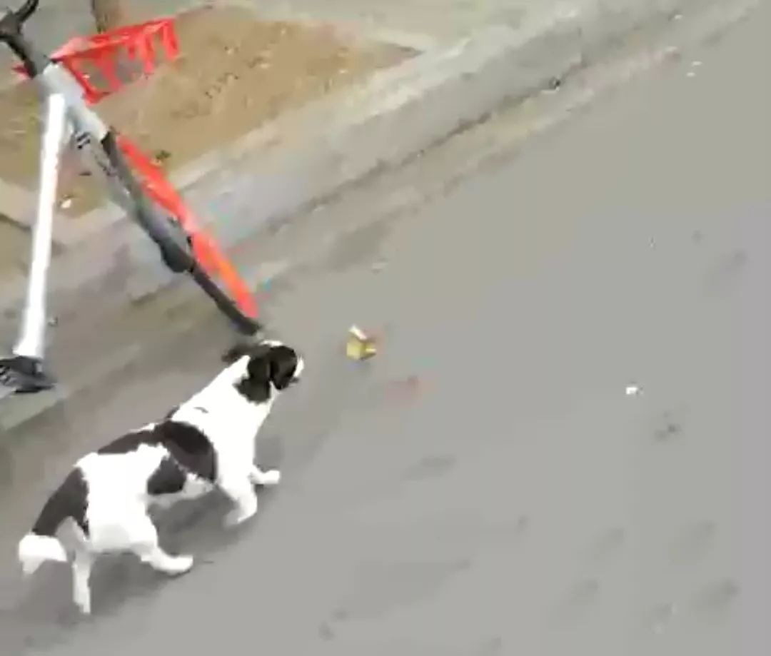 2018，我来过2019，你好｜中国日报X瞬间MomentX