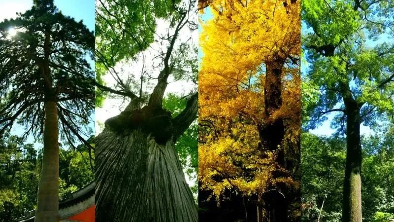 玩的地方推荐三天游,三天两夜旅游强推