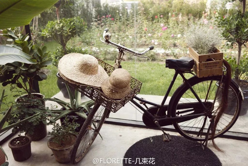 北京才女徐静蕾,徐静蕾李亚鹏北京台