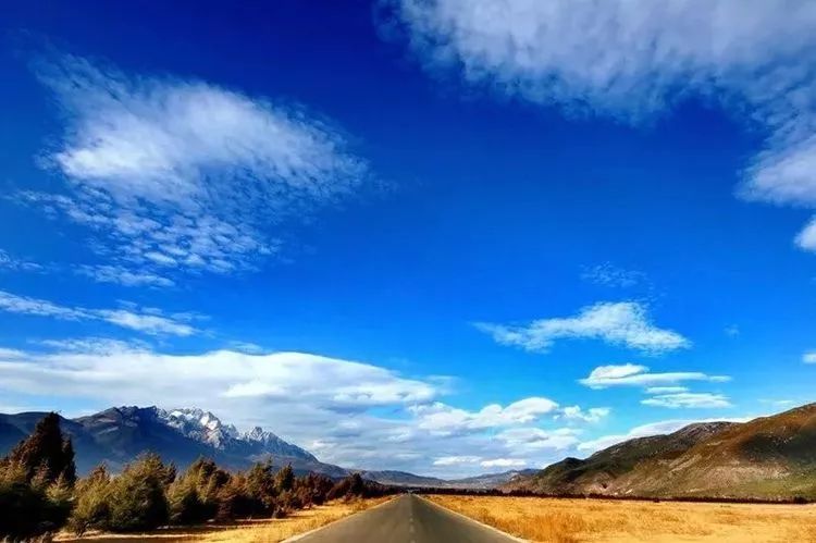 云南寻甸牛干巴做法,舌尖上的云南普洱茶