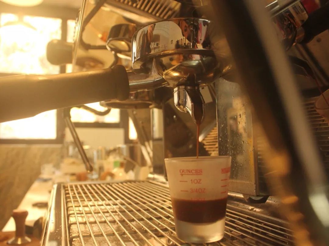 莫干山萤火虫基地住宿,莫干山云起萤光水森林萤火虫基地