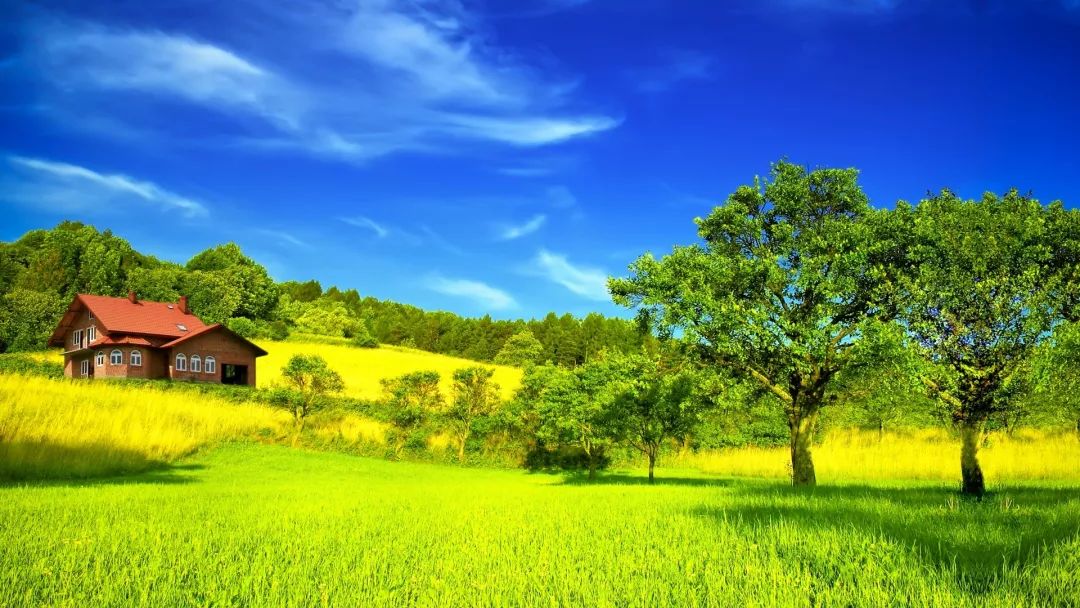 正念减压训练视频教程,正念减压疗愈课程