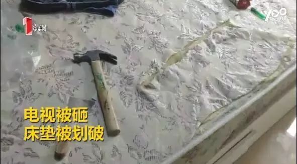 房子租给一对年轻人开门后续,房东将房子租给了一对小夫妻