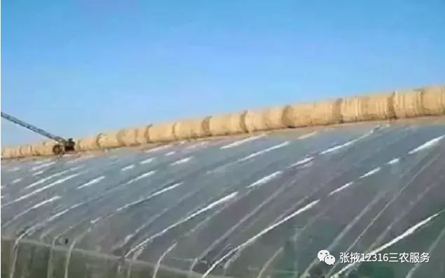 冬天温室大棚保暖的十种方法,温室大棚怎么增温