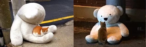 家在异乡去哪里玩呢,家在北京的东北人