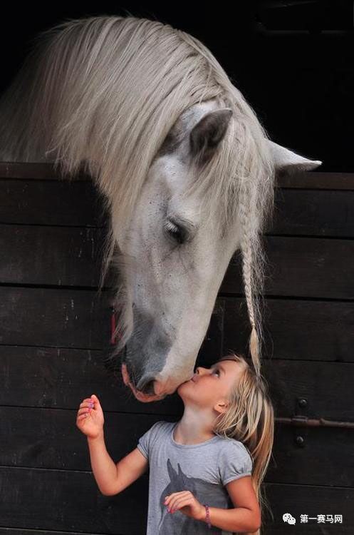 鬼马系列写真,马写真高清图片大全