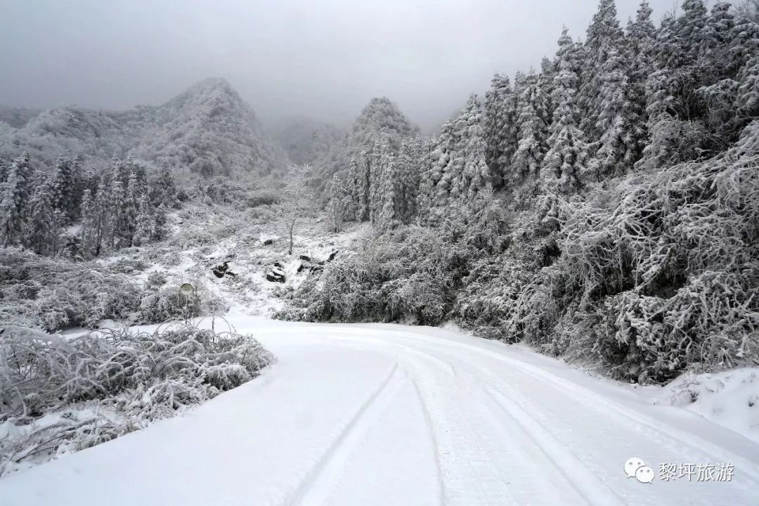 2023年的第一场旅行从成都开始,2019年汉中旅游攻略