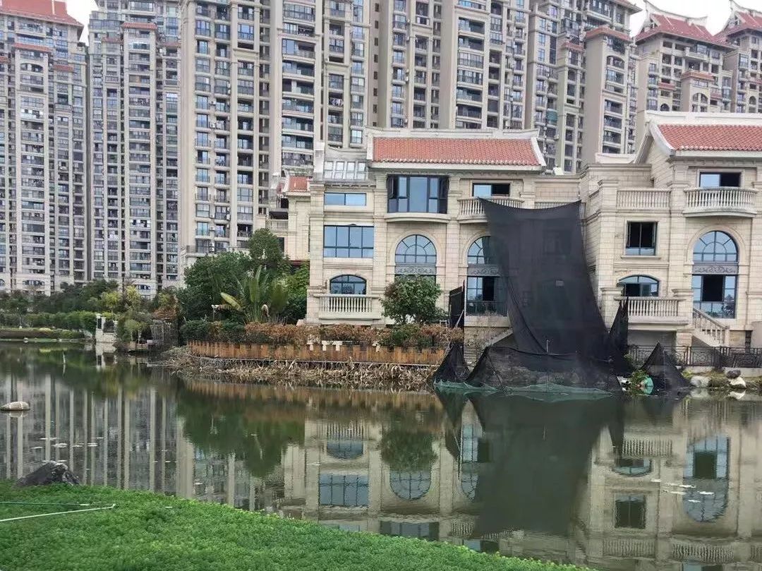 厦门别墅挖地基出事,厦门因盖房发生的命案后续