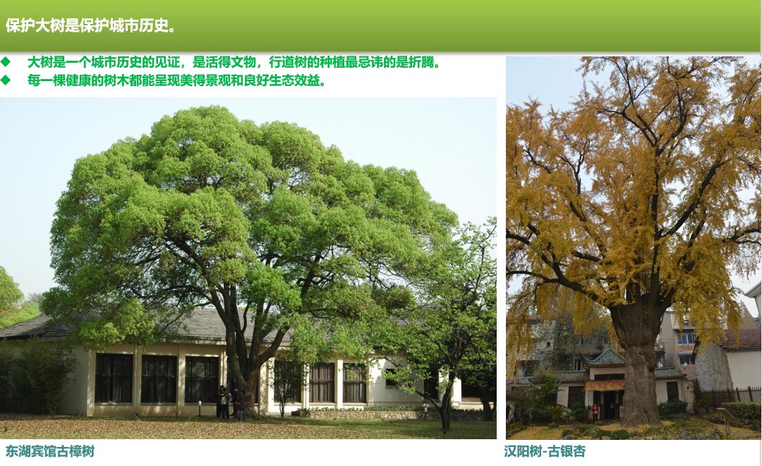 园林大讲堂｜清溪川：韩国人最引以为傲的生态改造项目