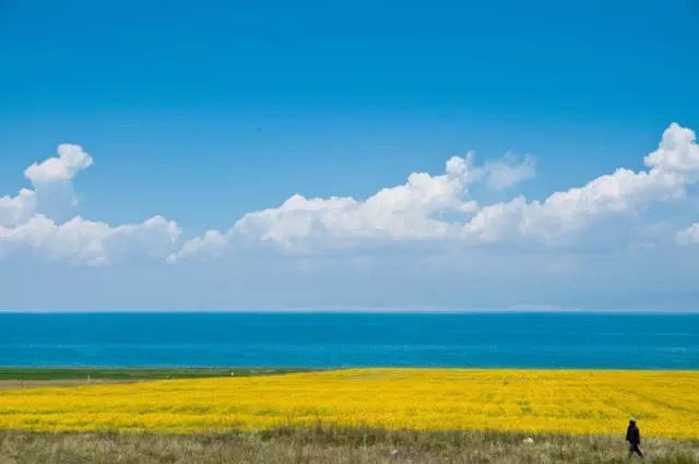 去越南旅游买什么特产带回来,来三亚旅游带点什么特产回家
