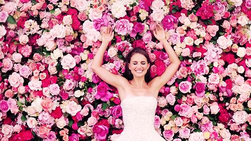 那些写香评的人文采有多好?让你隔屏闻到香水味儿丨夜听双语