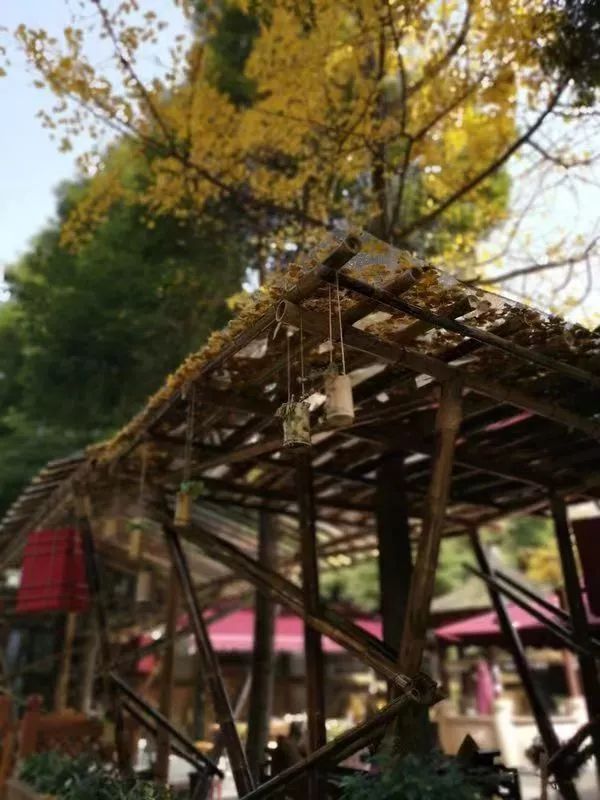 今日小寒一年中最冷的日子来了,今日小寒迎一年中最冷时间