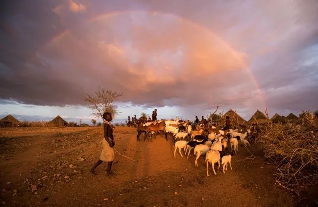 新华社年度照片,2023年新华社年度最佳照片