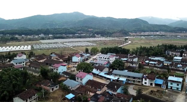 鏉戞皯鑴辫传鍠滅瑧棰滃紑,鏉戞皯鑴辫传鎯呭喌鍥剧墖